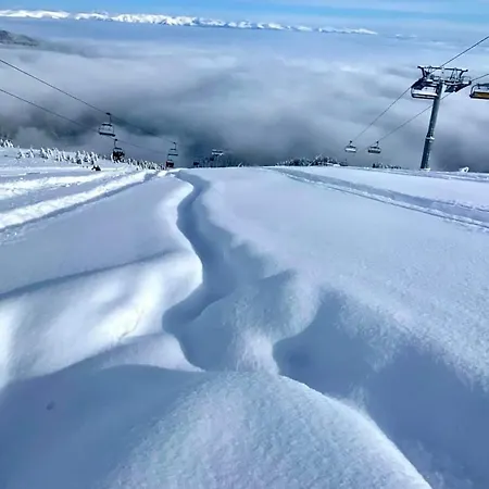 In Dream Bansko
